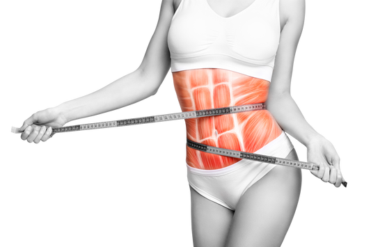 ABDOMEN PERFECTO